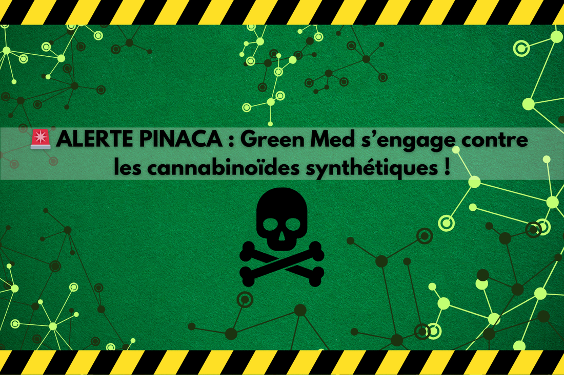 đš ALERTE PINACA : Green Med sâengage contre les cannabinoĂŻdes synthĂ©tiques !
