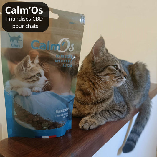 Croquettes au CBD pour chat - Calm'Os