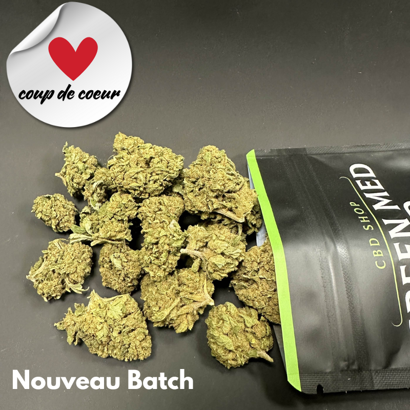 Canna Punch 2025 - Platinum Cup #1