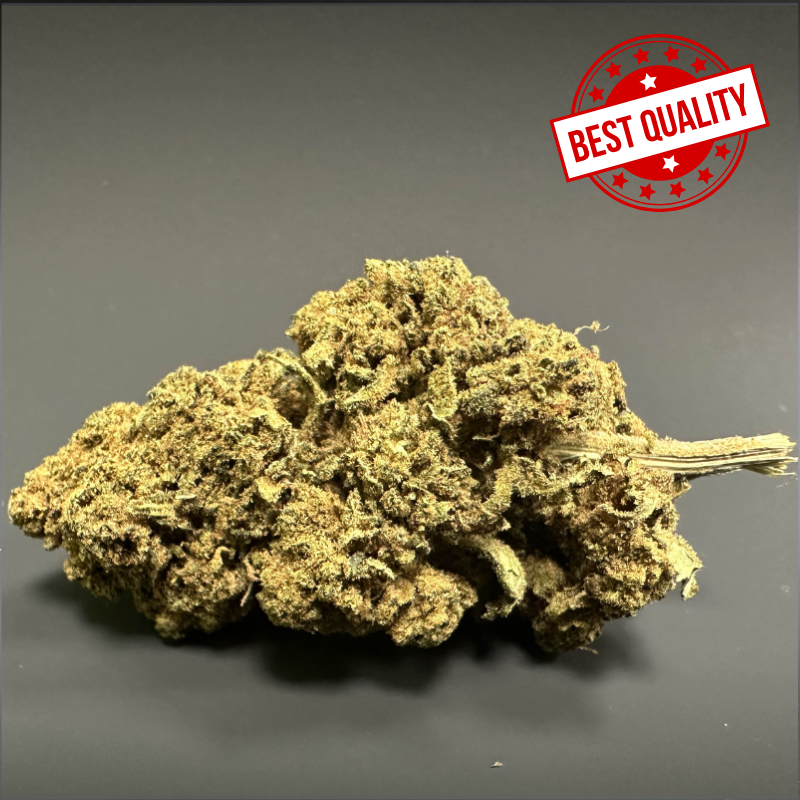 Canna Punch 2025 -  Platinum Cup #1