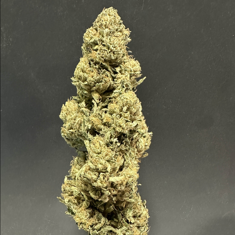 đ«đ· Fleur de CBD Dark Saphir Greenhouse - Happy Pousse