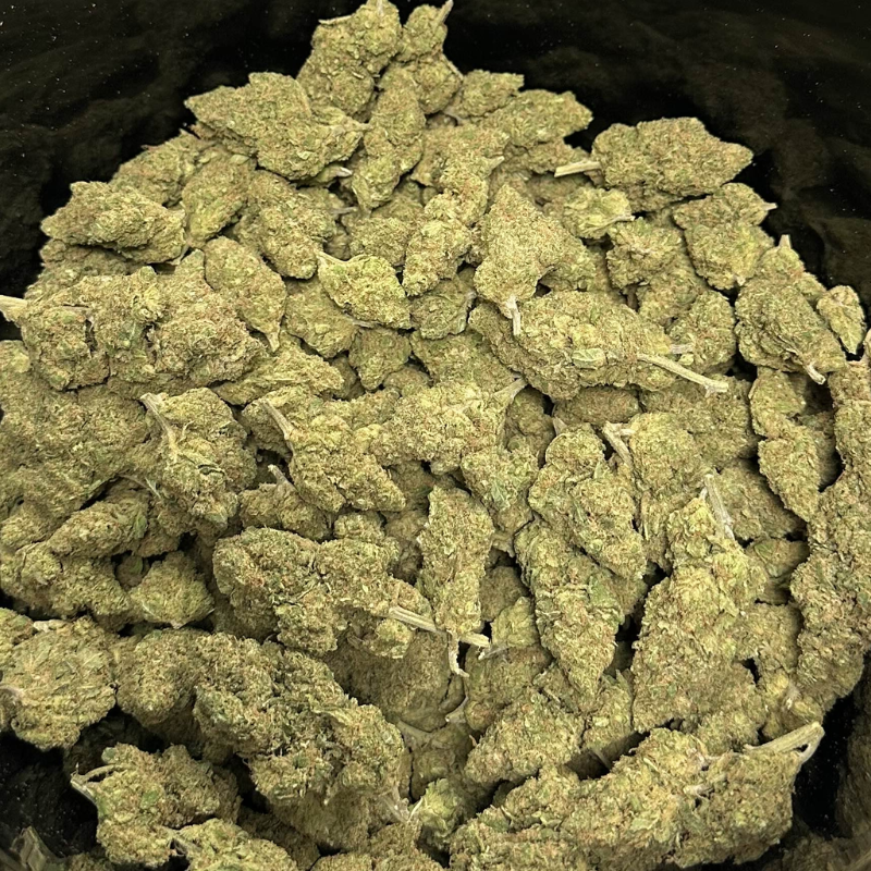 🇮🇹 Gelato #33