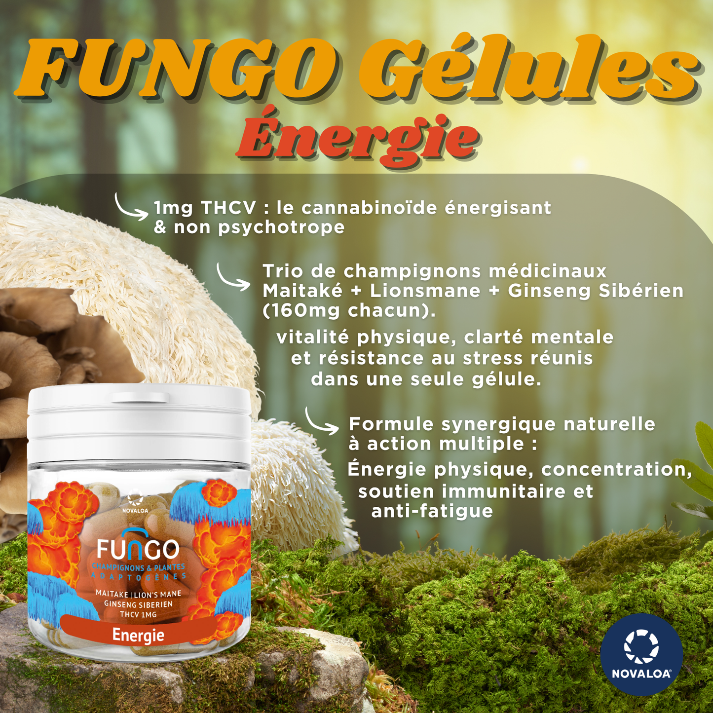 Gélule THCV FUNGO Énergie