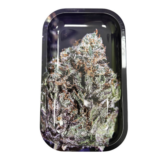 Plateau M - Fleur - V Syndicate