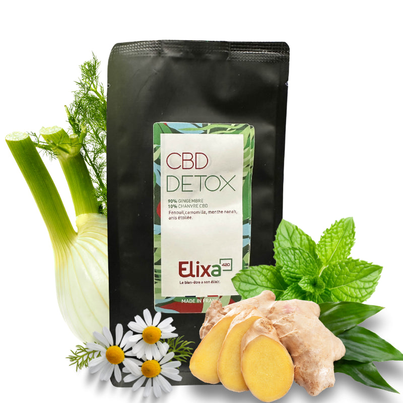 Gingembre - CBD Detox - Infusion