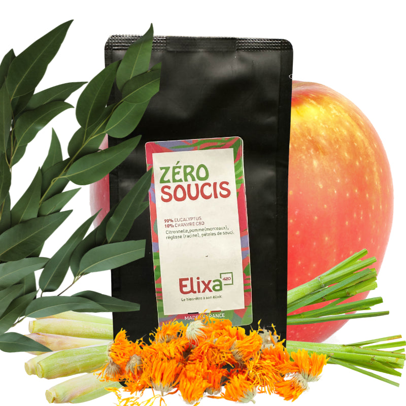 Eucalyptus - Zéro Soucis - Infusion