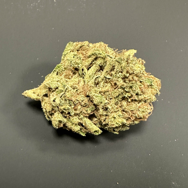 Lemon Grace - Par Happy Pousse 🇫🇷 - Greenhouse