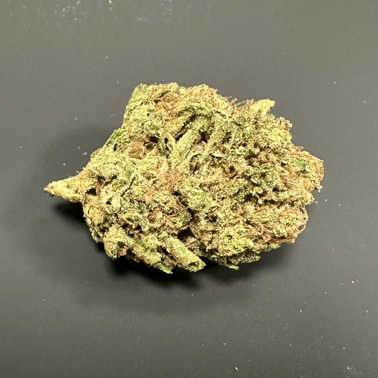 Lemon Grace - Par Happy Pousse 🇫🇷 - Greenhouse