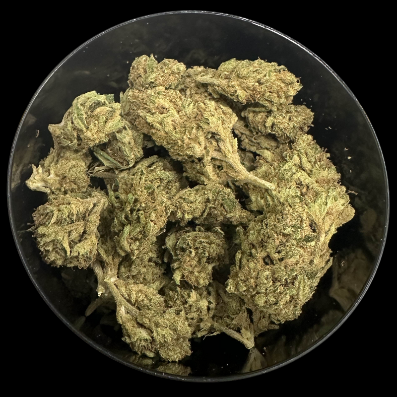 Lemon Grace - Par Happy Pousse đ«đ· - Greenhouse