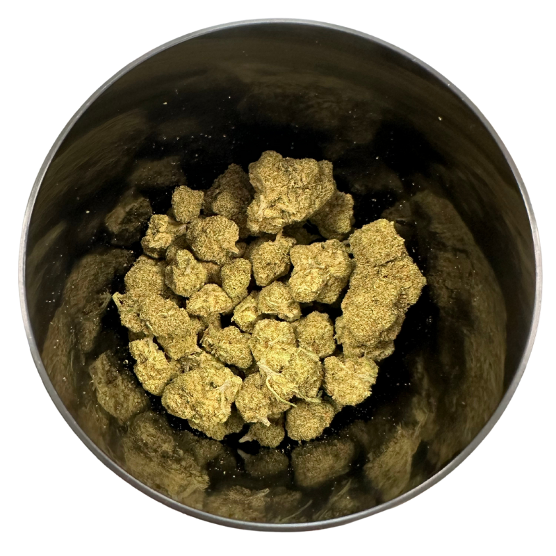 Moby Dick Indoor / Amnesia 2.0
