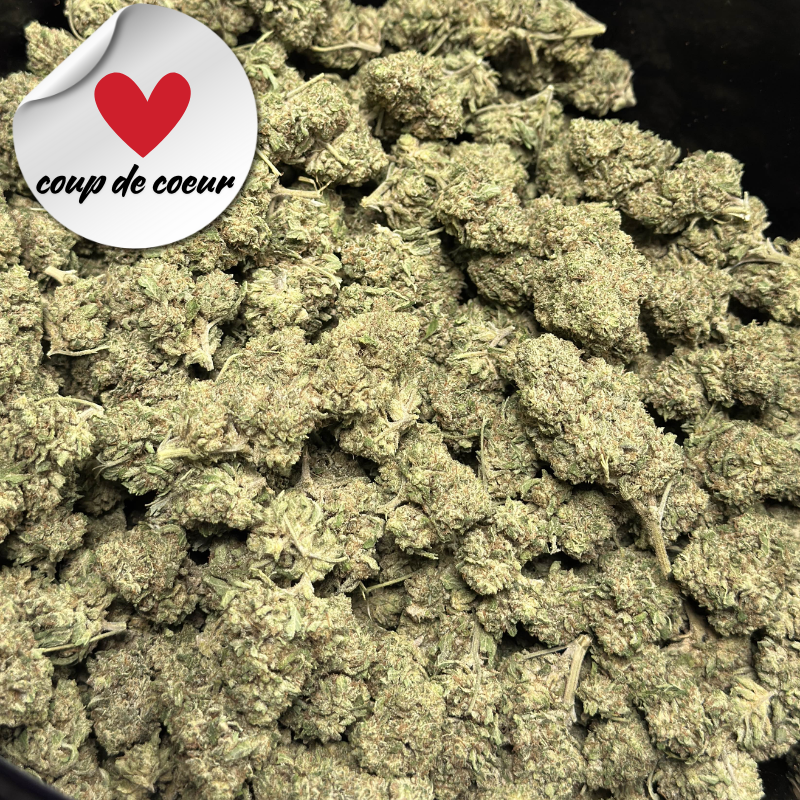 Wasabi - Fleur Premium