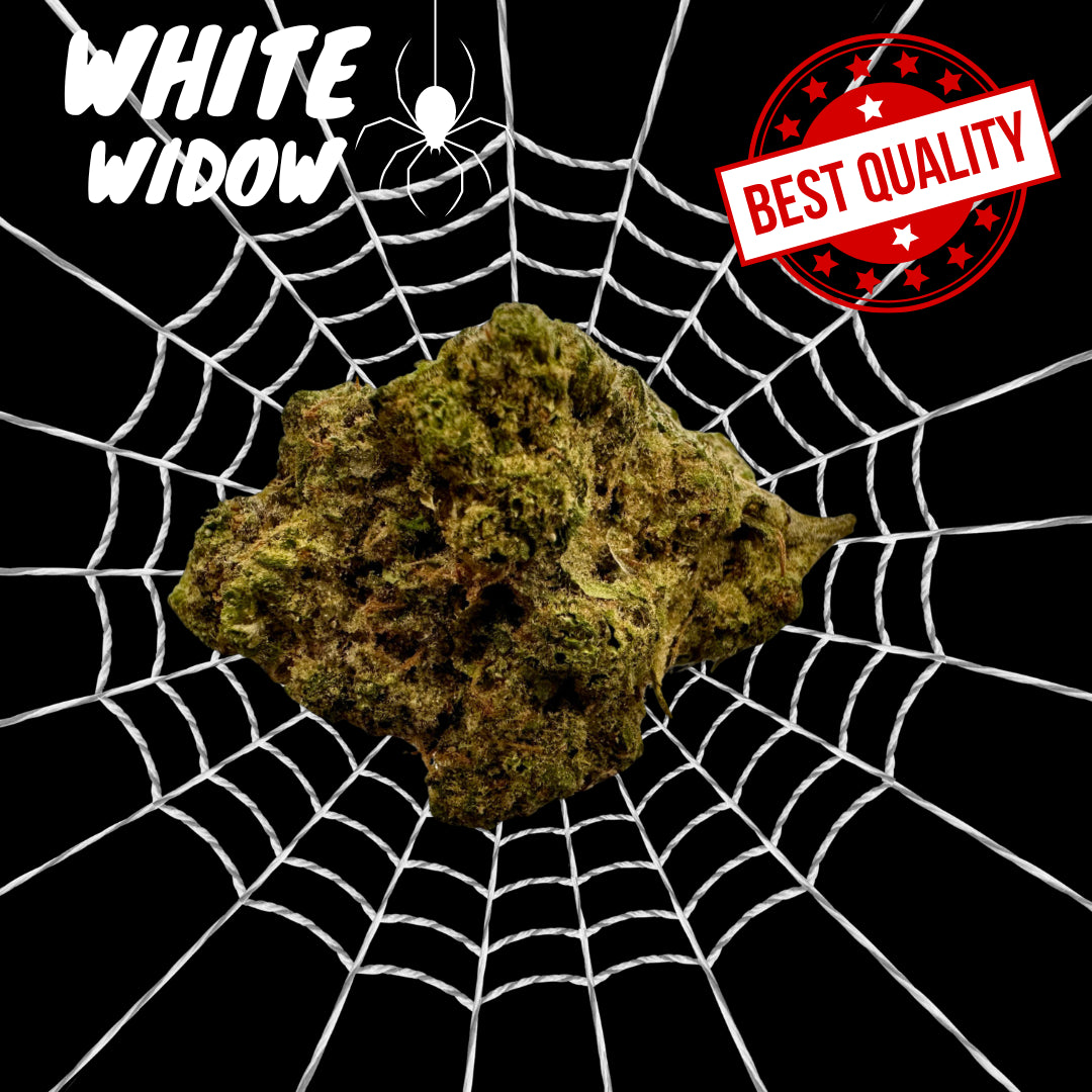 White Widow