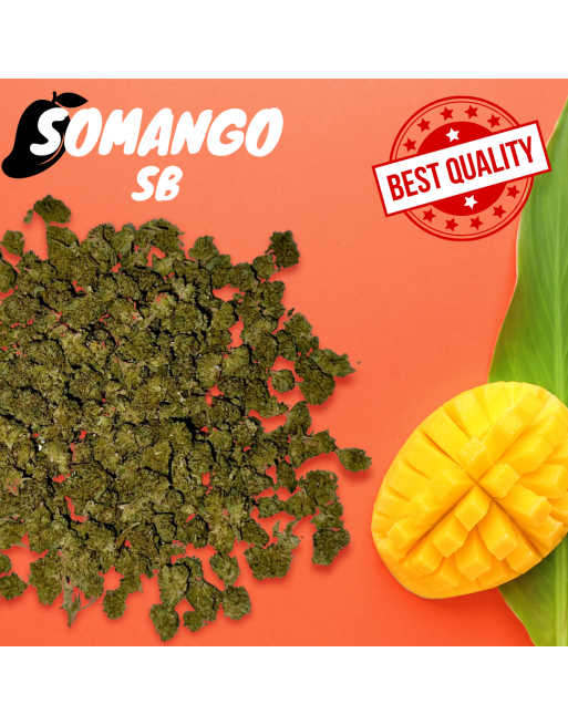 Fleur CBD - Somango Small Bud - Qualité premium - couverture