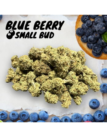 Blue Berry version Small Bud - couverture