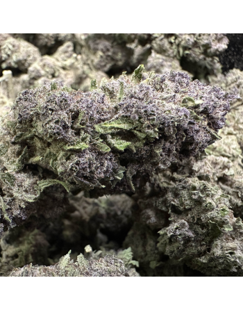 fleur cbg - purple kush - 50g