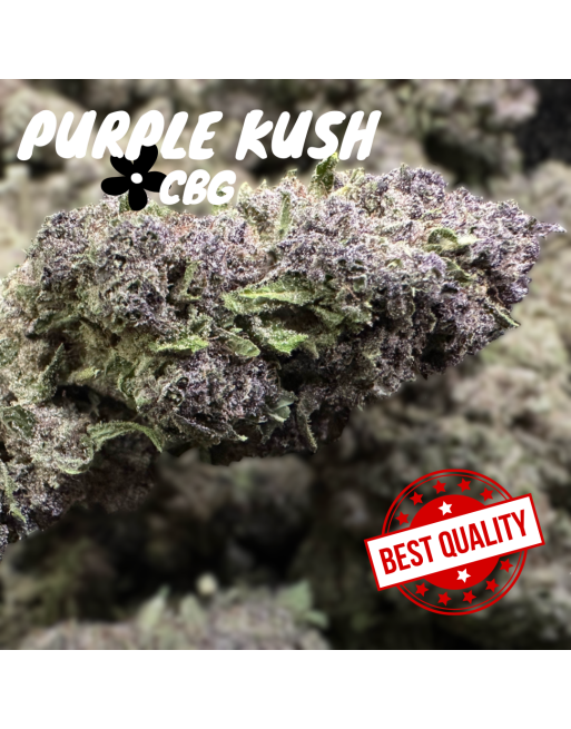 fleur cbg - purple kush - couverture