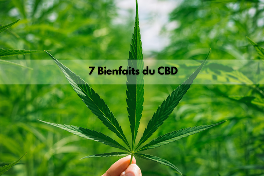 Les 7 bienfaits du CBD pour votre bien-être et pourquoi choisir Green Med