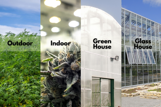 Les différentes méthodes de culture