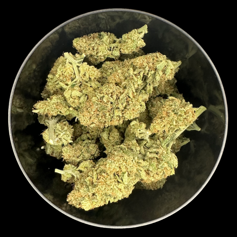🇫🇷 K9 Indoor - Orange Bitter - Happy Pousse
