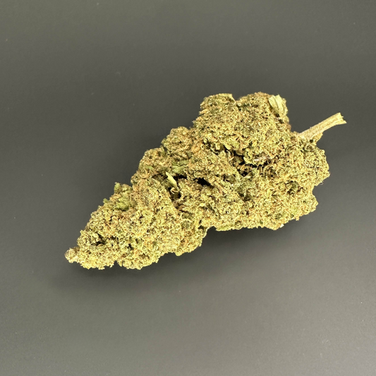 Amnesia FR
