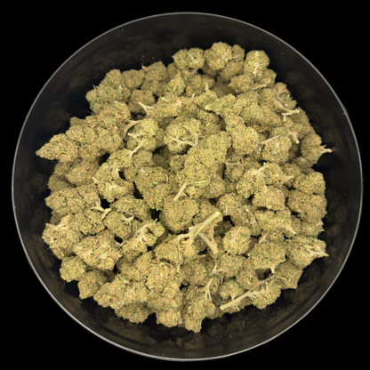Amnesia FR