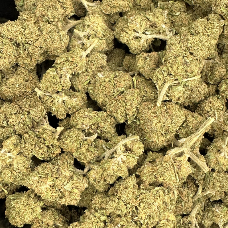 Amnesia FR