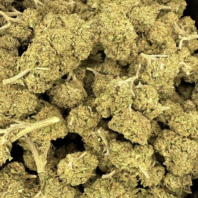 Amnesia FR