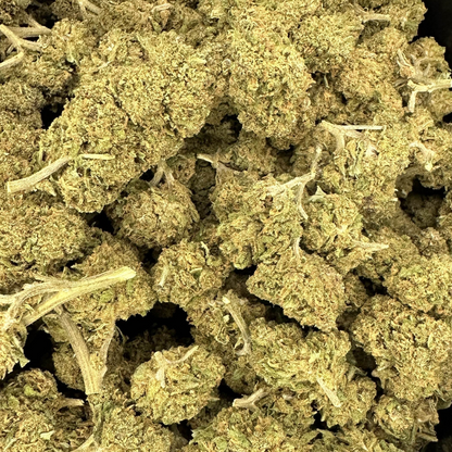 Amnesia FR