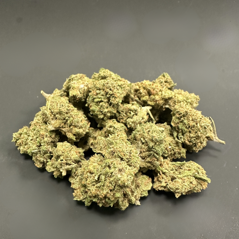 Amnesia FR SB