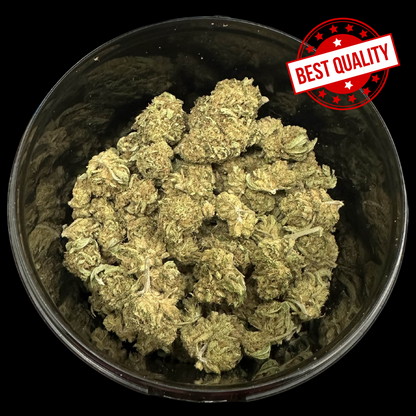 Dark Saphir Indoor - Happy Pousse