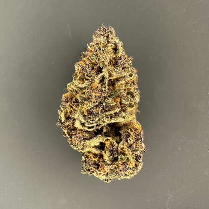🇫🇷 Blue Dory - Indoor