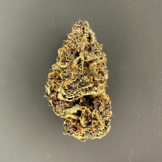 🇫🇷 Blue Dory - Indoor