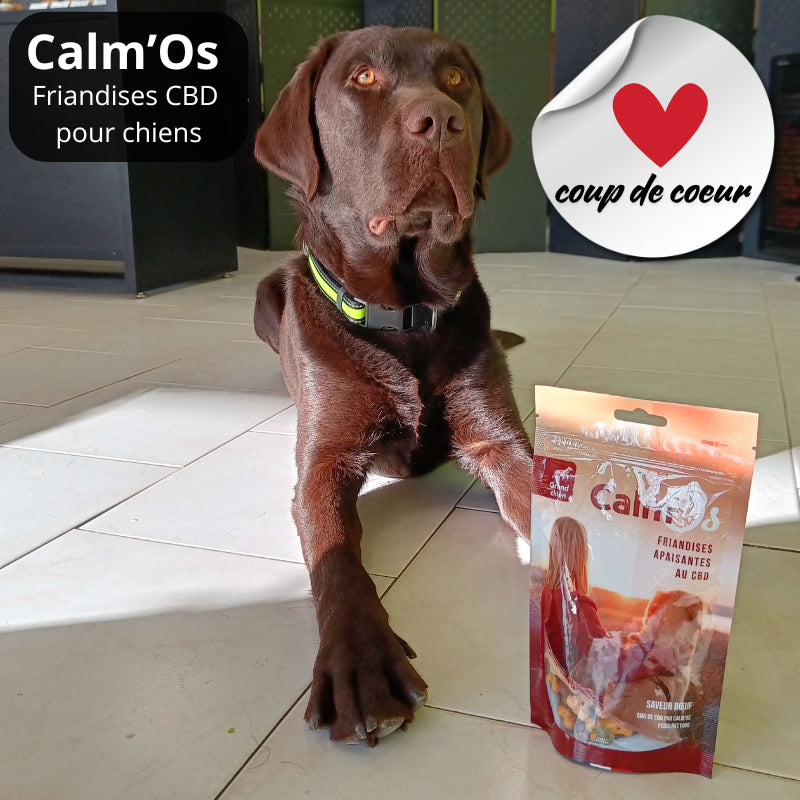 Croquettes au CBD pour chien - Calm'Os