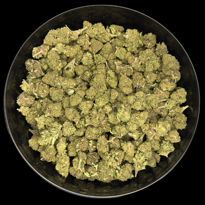 Canna Punch 2025 -  Platinum Cup #1