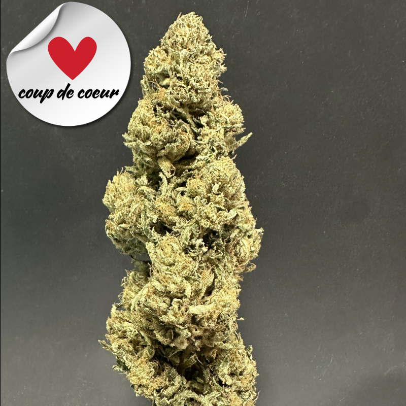 🇫🇷 Fleur de CBD Dark Saphir Greenhouse - Happy Pousse