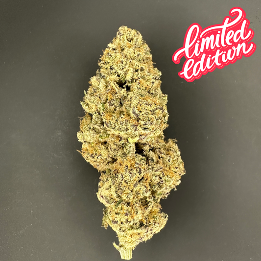 🇫🇷 Dark Saphir Indoor - Happy Pousse