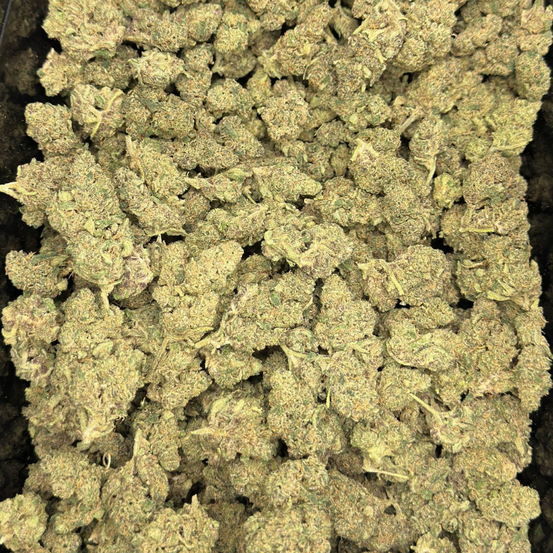 Dutch Punch