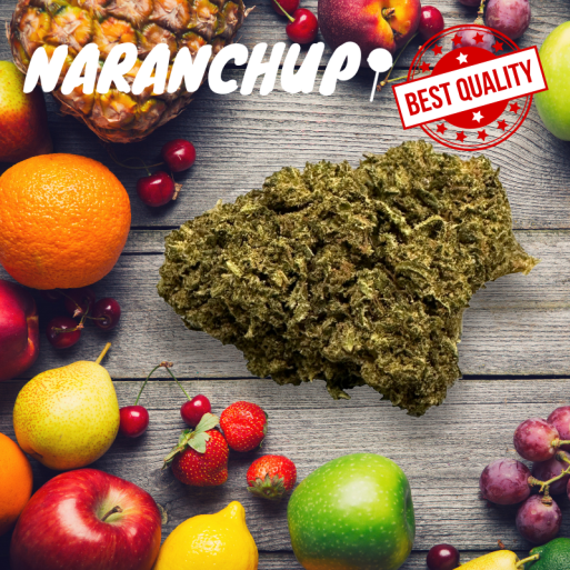 Naranchup Indoor - par Happy Pousse 🇫🇷