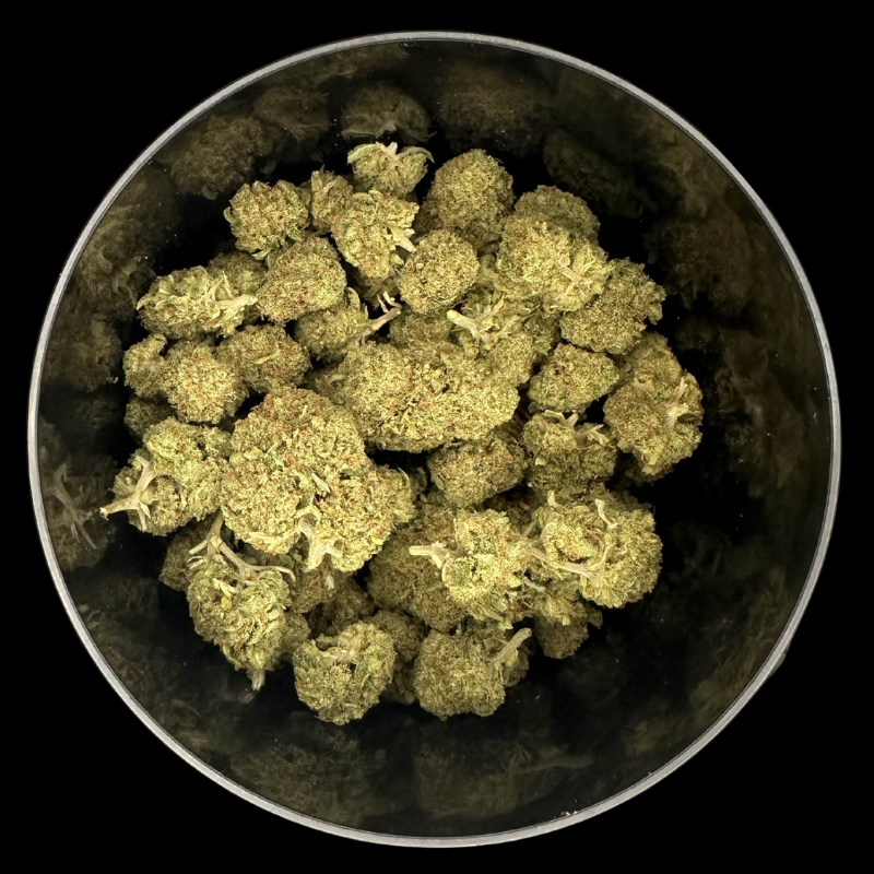 Garlic OG