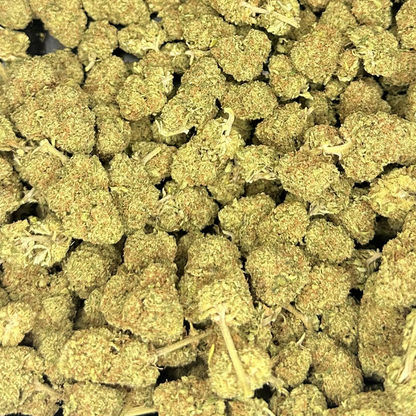 Garlic OG
