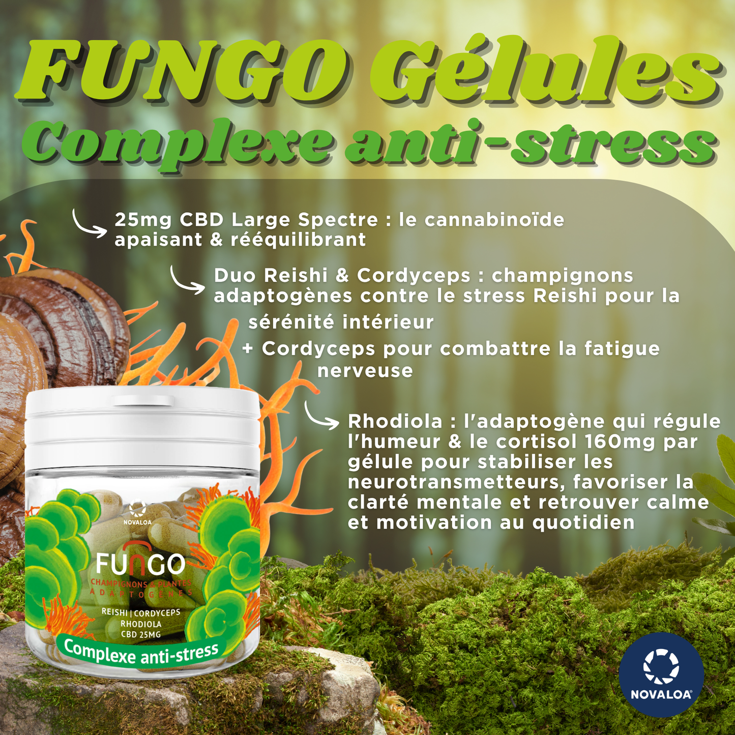 Gélule CBD FUNGO Anti-Stress
