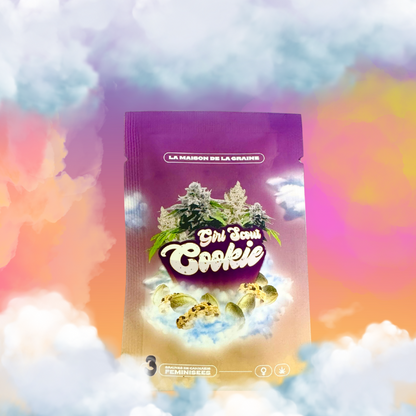 Girl Scoot Cookie - MDLG Seeds - Graines de collections - Féminisée