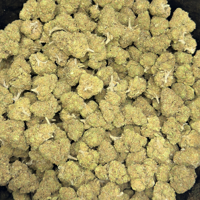 Gorilla Glue
