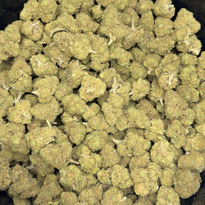 Gorilla Glue