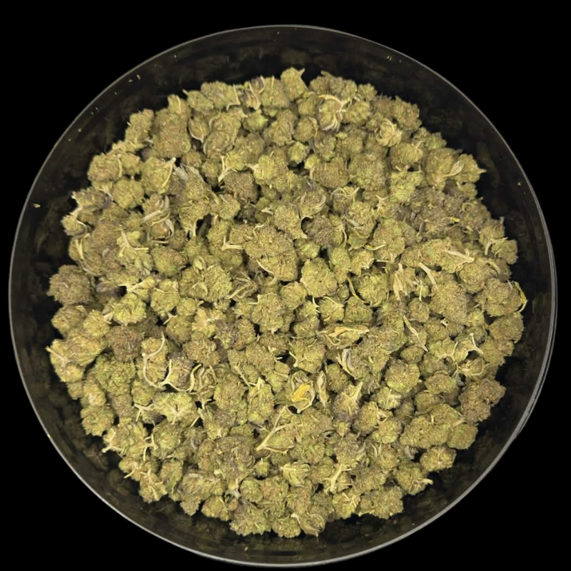 🇫🇷 Gorilla Glue SB