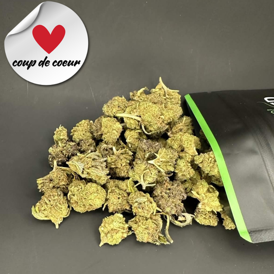 🇫🇷 Gorilla Glue SB