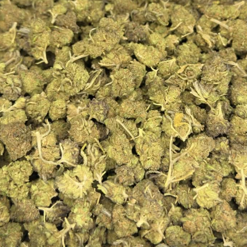 🇫🇷 Gorilla Glue SB