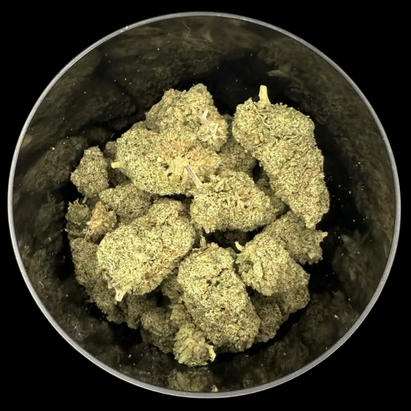 🏅 Legendary Skunk - Édition Limitée