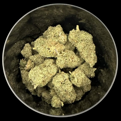 🏅 Legendary Skunk - Édition Limitée