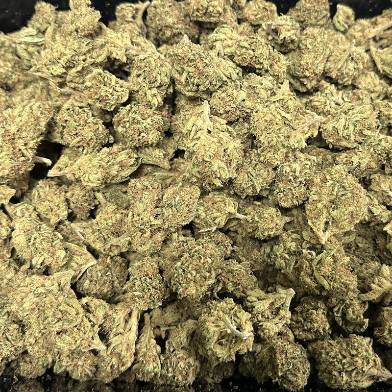 Lemon Grace - Par Happy Pousse 🇫🇷 - Greenhouse